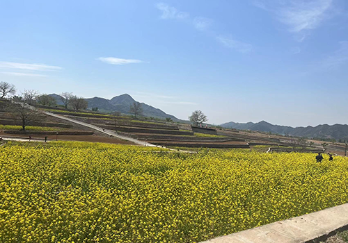 城鄉(xiāng)互融、月月有景——第十三屆北京農(nóng)田觀光季開季