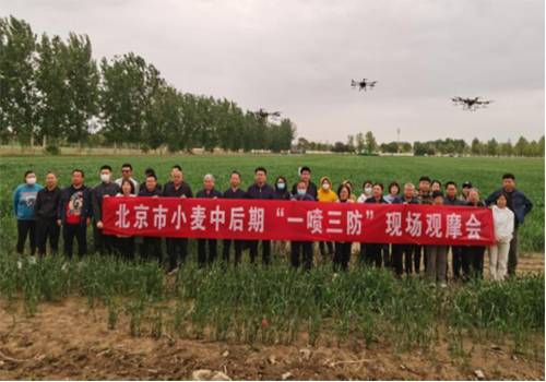 北京市小麥中后期“一噴三防”現(xiàn)場觀摩會在順義區(qū)召開
